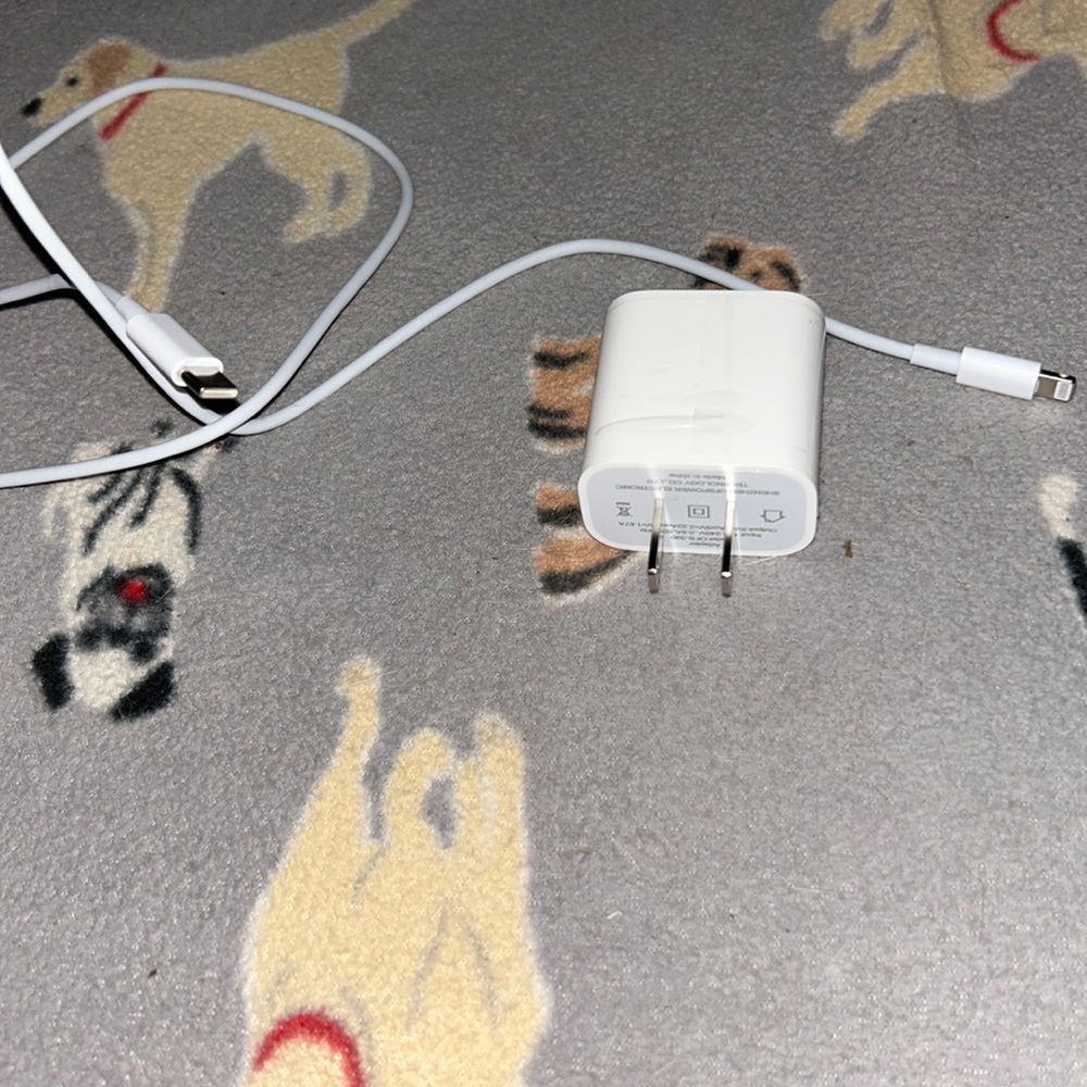 Apple iOS USB-C charging block and cable